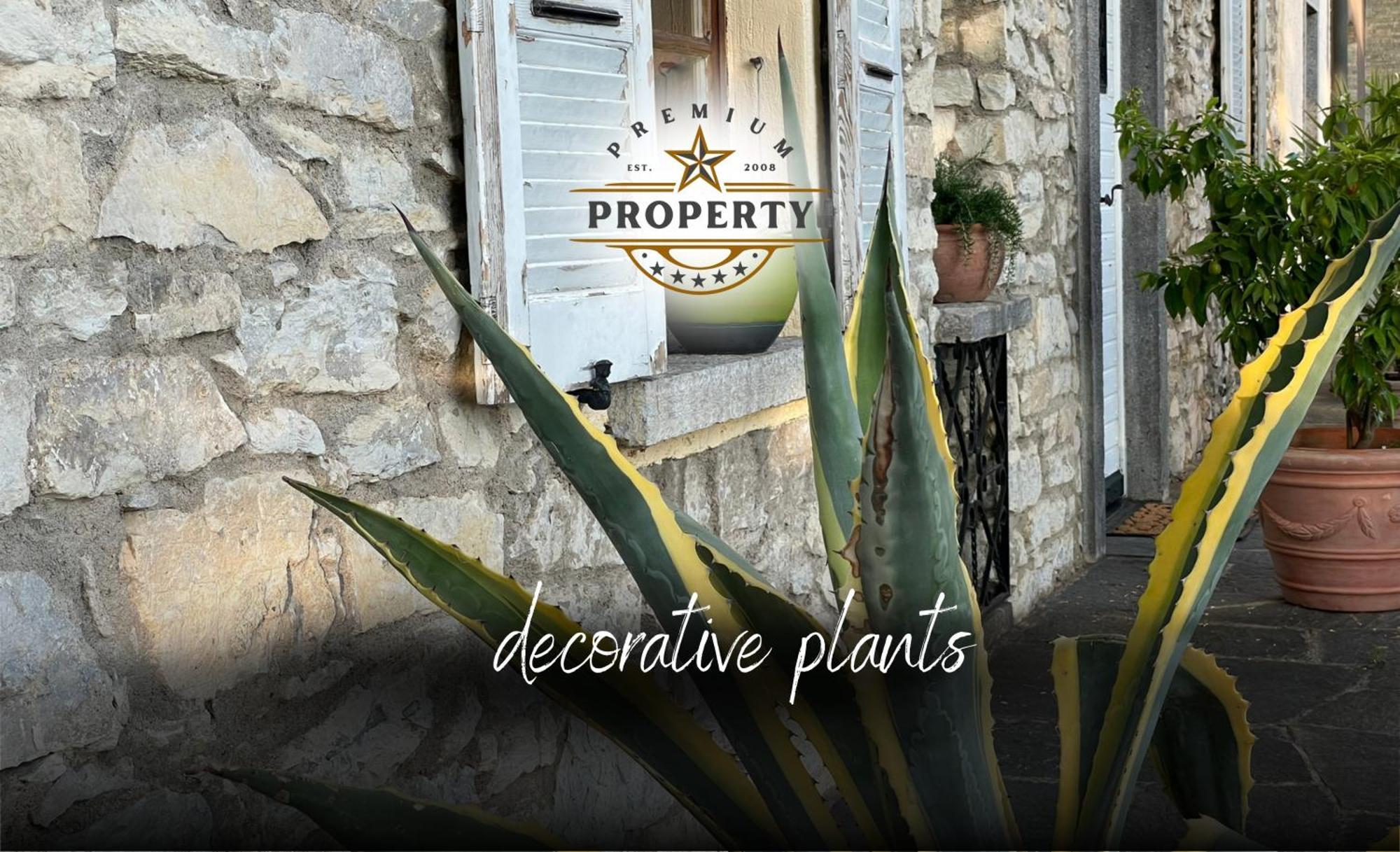 Magnificent Sunstone House, Private Parking, Bbq Area, Kids Toys, Near Como Lake I Villa Dei Leoni Morbio Inferiore ภายนอก รูปภาพ